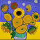 iis-Sunflowers