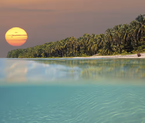 Untitled Collection #48235122