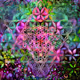 Sacred Geometry - Flowers