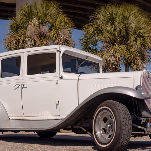 Reel Life Macro Photography