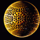 golden apes of hodl
