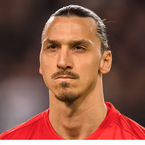 Zlatan enter the METAVERSE