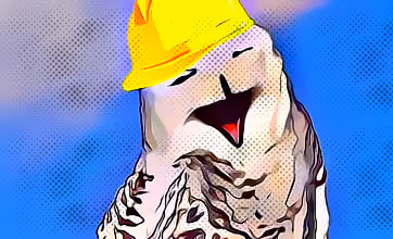 Laughing Owls