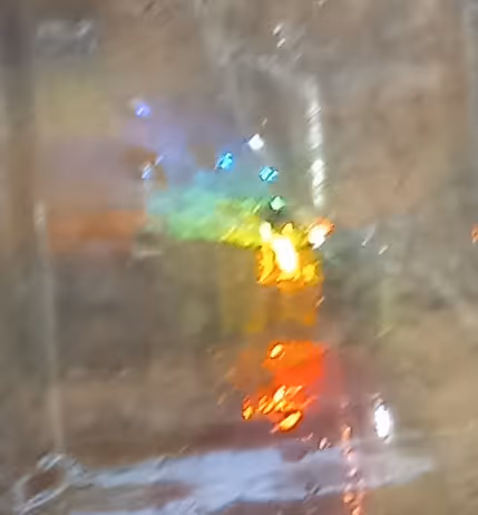 Menagerie of the Imagination