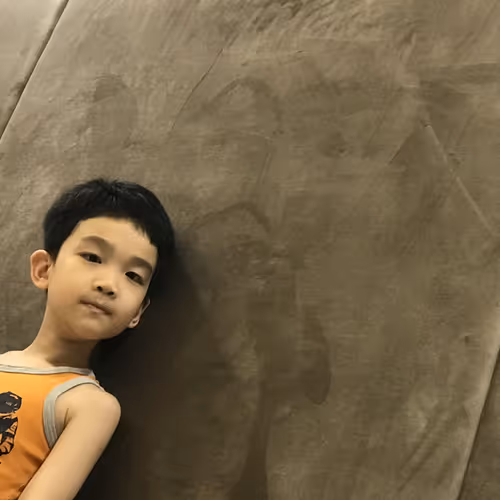 Davidlearn Collections