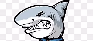 Untitled Collection #59695928 - old