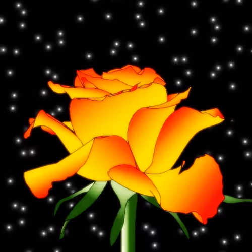 The 9th Rose