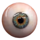insEYEd