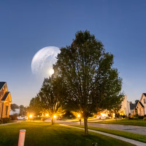 The Surreal #60664147