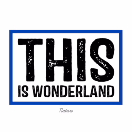 This is Wonderland