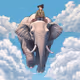flying elephant#0003