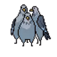 crypto pigeon club