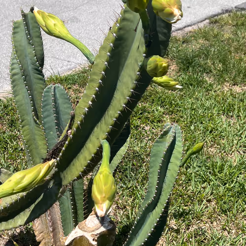 Random pics of nature