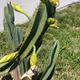 Random pics of nature