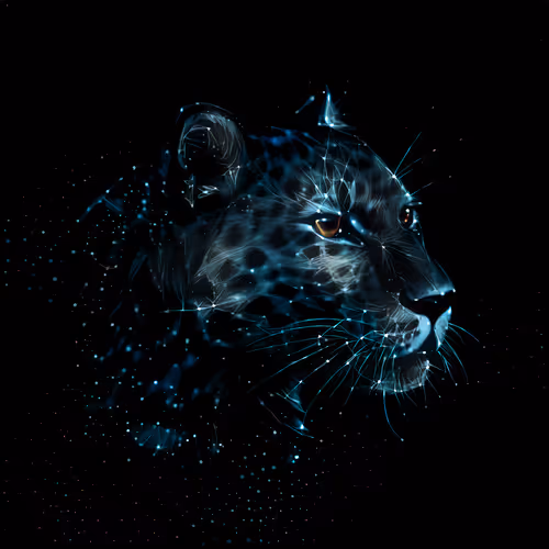 BlockChain Cat Collection