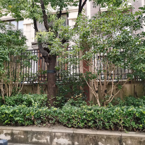 Untitled Collection #63422163