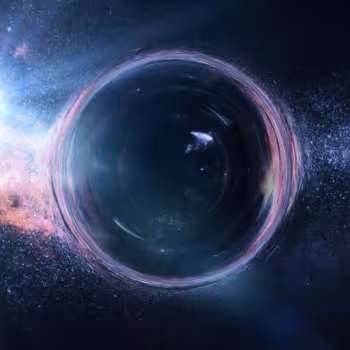 Into the rabbit hole