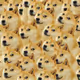 AIDOGE