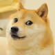 Doge Elon .1 - old