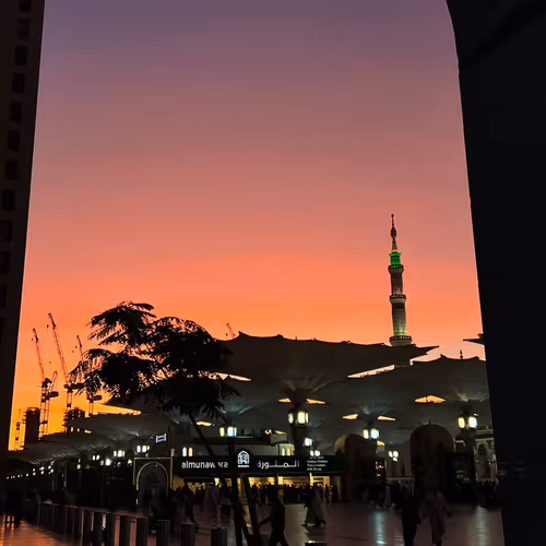 Untitled Collection #661872525