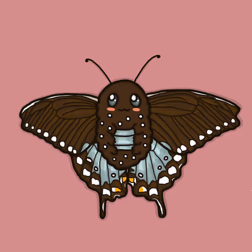Butterfly and Moth Species