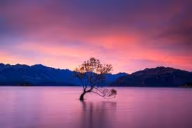 South Island, Aotearoa
