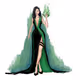 Only Shego