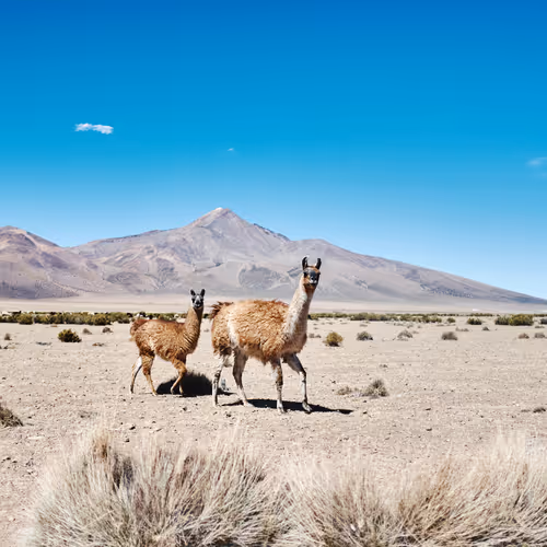 Landscapes in South America