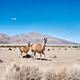 Landscapes in South America