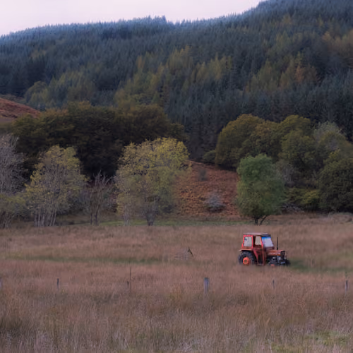 A Slower Pace of Life - old - old