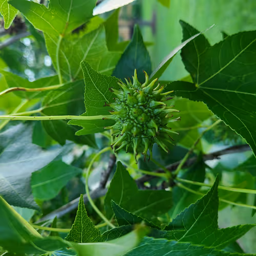 Random93_Photography