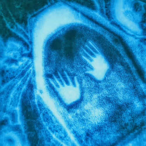 Primitive Memories - old