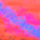 c r e a 1 0 a r y