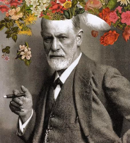 mr.sigmund.flowerued