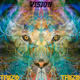 Vision - Triizo