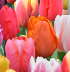 Searching you #84826387