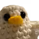 Chick-pea