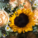 SunFlower World