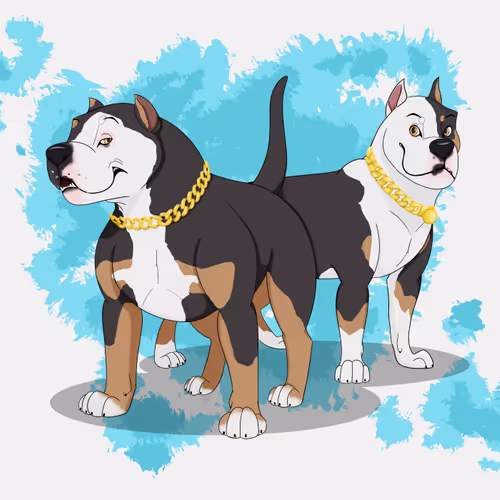 Bullish Pitbull