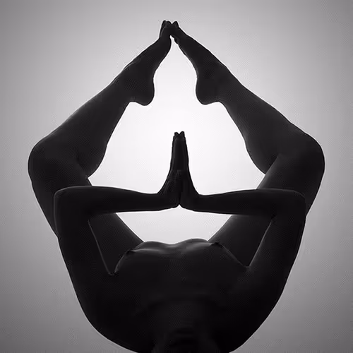 The Call of the Wild V3