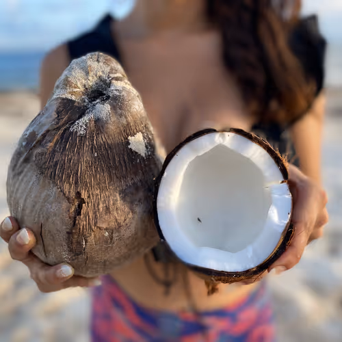 I am a coconut