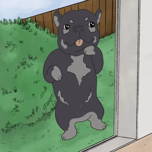 Frenchie Collection 2022