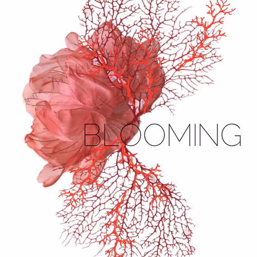 The power of self-confidence-1 - old