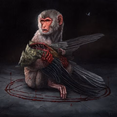 Dark_Crow V1 Collection