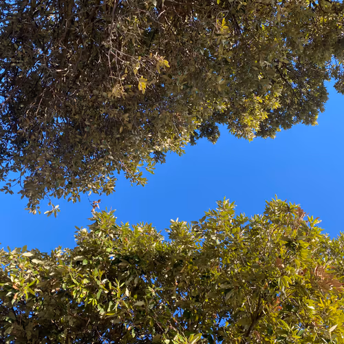 IMPOSSIBLE TO REPLICATE