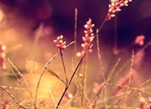 hand drawn Collection #001