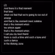 untitled bytes