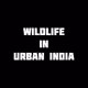 Wildlife in Urban India