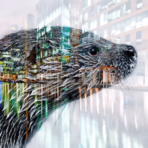 Urban Wildlife Photo Art - old