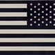 US Veteran Collection #12159913